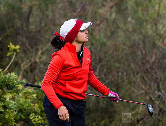 Women's Golf: Tim Tierney Pioneer Shootout