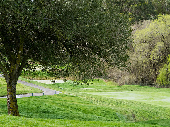 Women's Golf: Tim Tierney Pioneer Shootout