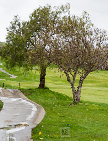 Women's Golf: Tim Tierney Pioneer Shootout