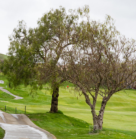 Women's Golf: Tim Tierney Pioneer Shootout