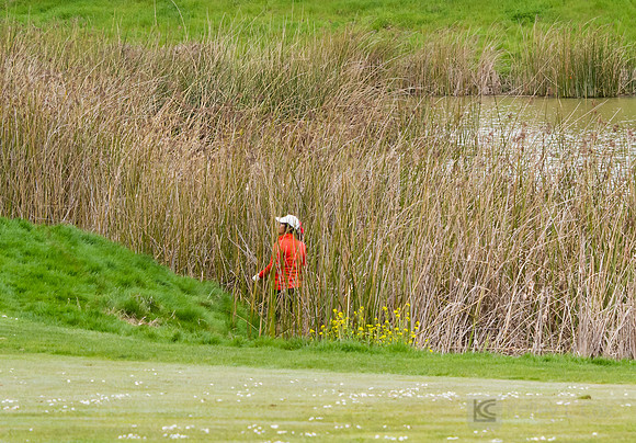 Women's Golf: Tim Tierney Pioneer Shootout