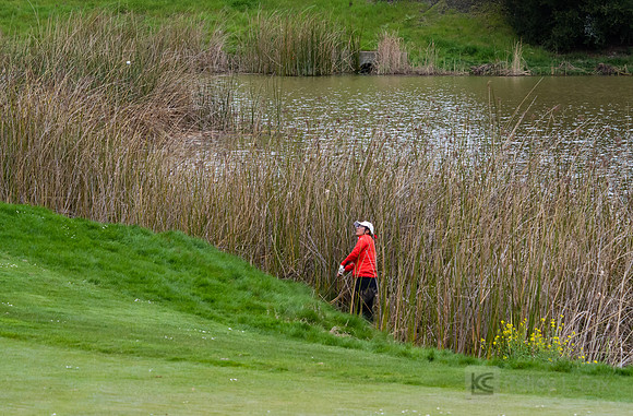 Women's Golf: Tim Tierney Pioneer Shootout