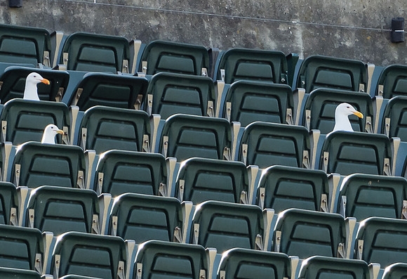 MLB: Seattle Mariners at Oakland Athletics
