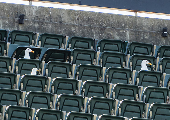 MLB: Seattle Mariners at Oakland Athletics