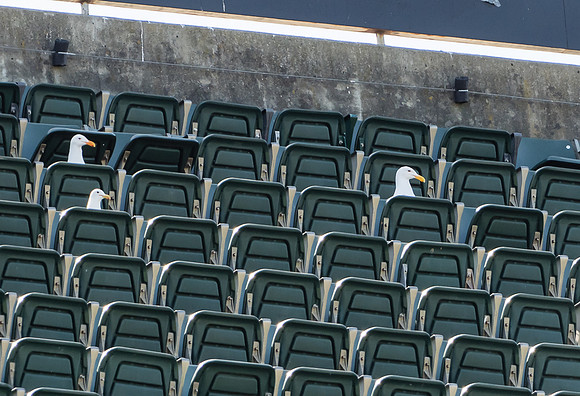 MLB: Seattle Mariners at Oakland Athletics
