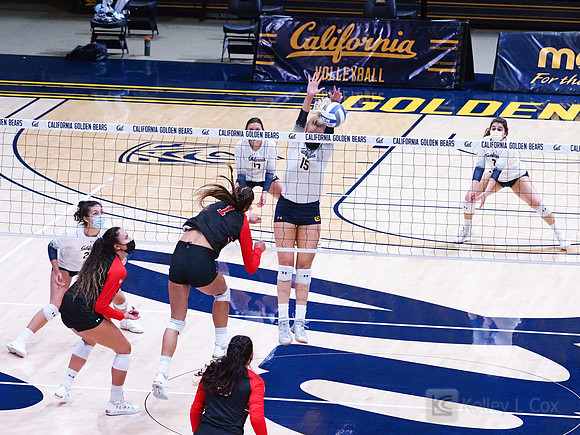 Women’s Volleyball: California Golden Bears vs Utah Utes