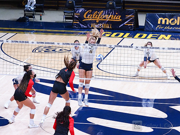 Women’s Volleyball: California Golden Bears vs Utah Utes