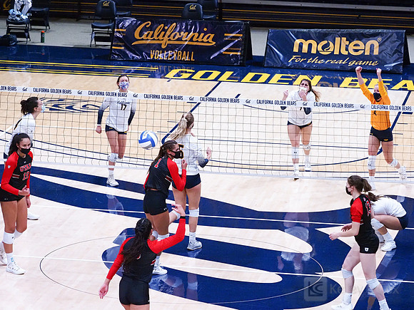 Women’s Volleyball: California Golden Bears vs Utah Utes