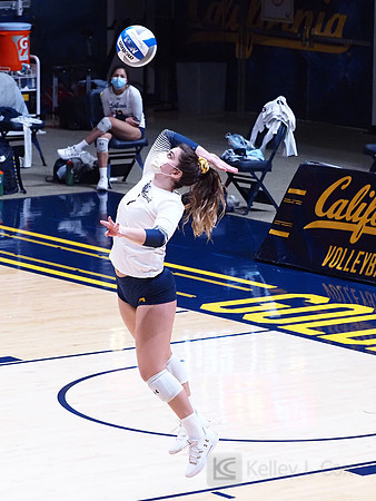 WomenÕs Volleyball: California Golden Bears vs Utah Utes