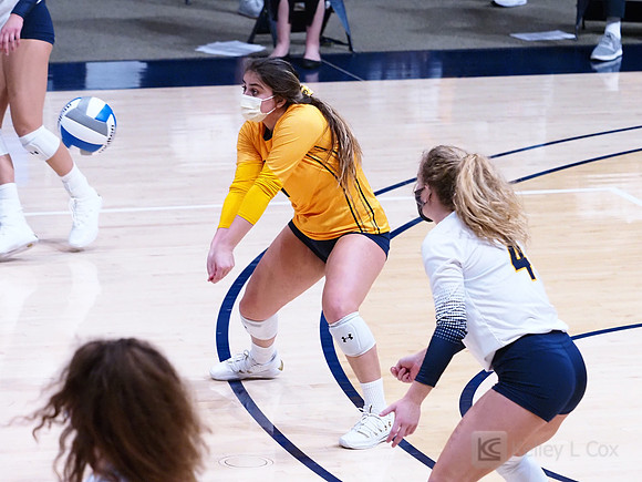 WomenÕs Volleyball: California Golden Bears vs Utah Utes