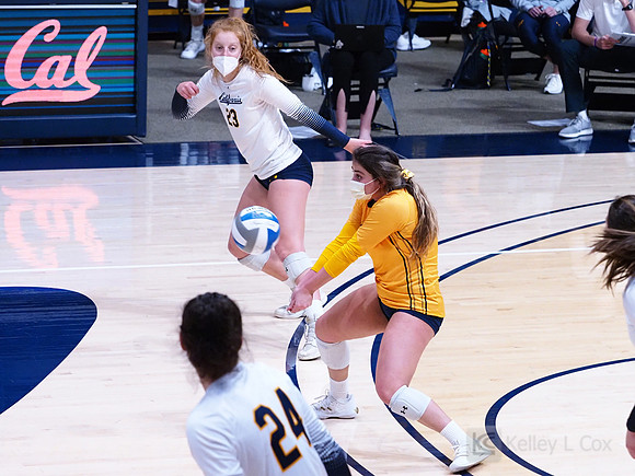 WomenÕs Volleyball: California Golden Bears vs Utah Utes