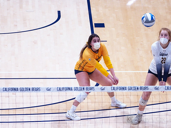 WomenÕs Volleyball: California Golden Bears vs Utah Utes