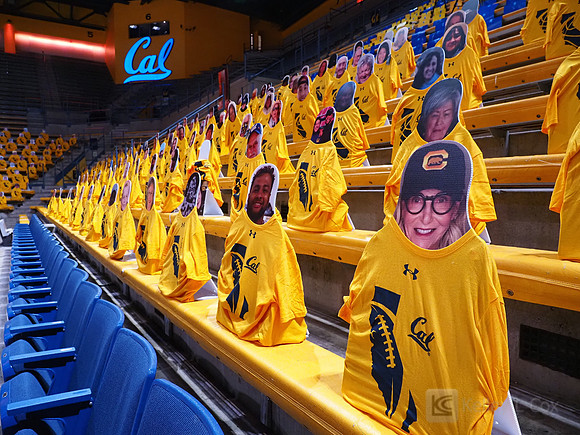 WomenÕs Volleyball: California Golden Bears vs Utah Utes