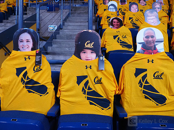 WomenÕs Volleyball: California Golden Bears vs Utah Utes