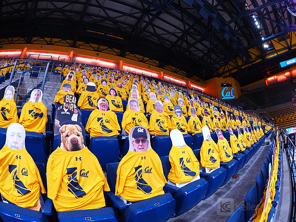 WomenÕs Volleyball: California Golden Bears vs Utah Utes