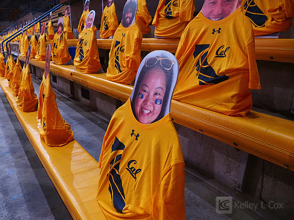 WomenÕs Volleyball: California Golden Bears vs Utah Utes
