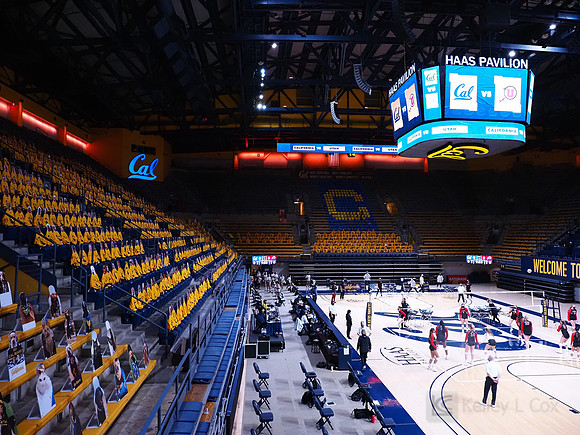 WomenÕs Volleyball: California Golden Bears vs Utah Utes