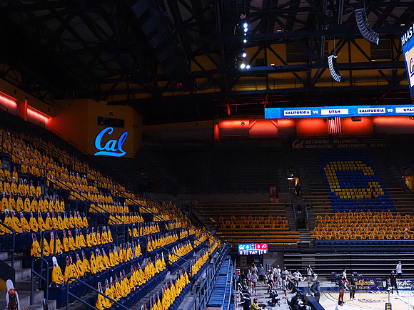 WomenÕs Volleyball: California Golden Bears vs Utah Utes