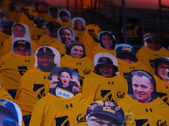 WomenÕs Volleyball: California Golden Bears vs Utah Utes