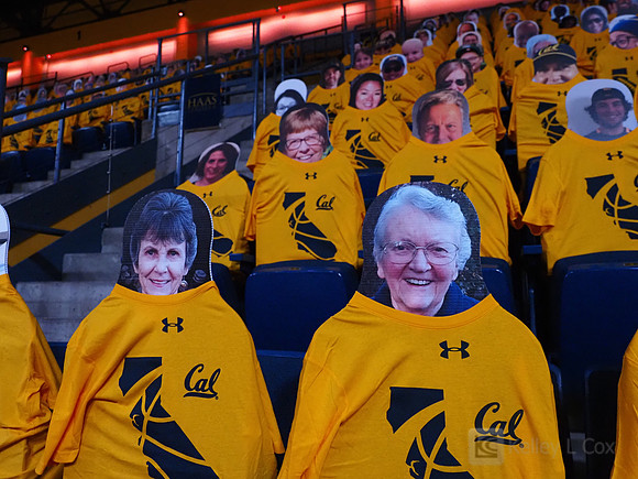 WomenÕs Volleyball: California Golden Bears vs Utah Utes