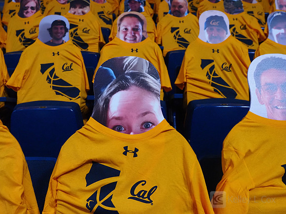 WomenÕs Volleyball: California Golden Bears vs Utah Utes