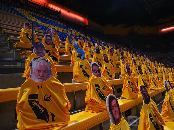 WomenÕs Volleyball: California Golden Bears vs Utah Utes