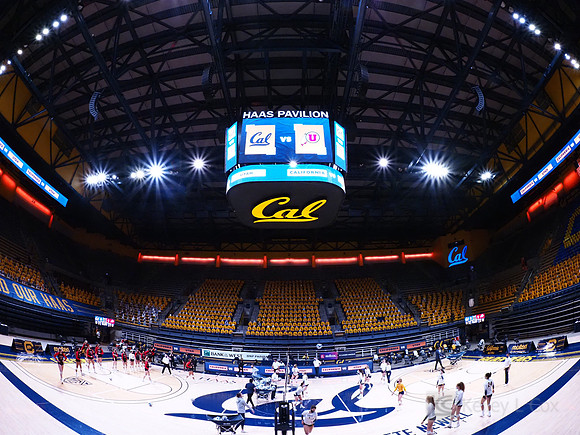 WomenÕs Volleyball: California Golden Bears vs Utah Utes