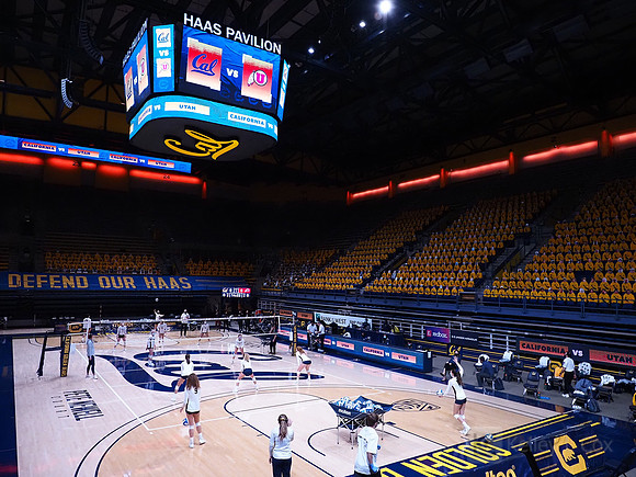 WomenÕs Volleyball: California Golden Bears vs Utah Utes