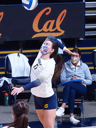 WomenÕs Volleyball: California Golden Bears vs Utah Utes