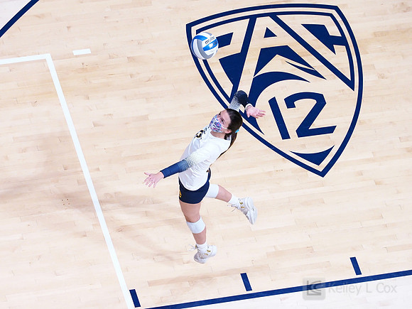 WomenÕs Volleyball: California Golden Bears vs Utah Utes