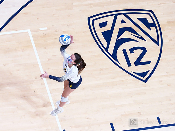 WomenÕs Volleyball: California Golden Bears vs Utah Utes