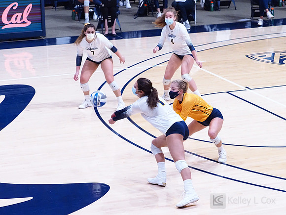 WomenÕs Volleyball: California Golden Bears vs Utah Utes
