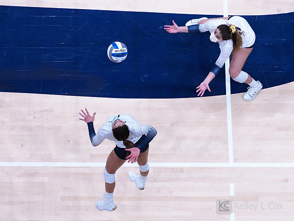 WomenÕs Volleyball: California Golden Bears vs Utah Utes
