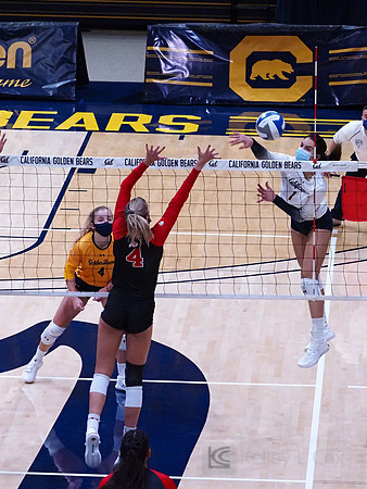 WomenÕs Volleyball: California Golden Bears vs Utah Utes