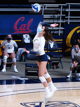 WomenÕs Volleyball: California Golden Bears vs Utah Utes