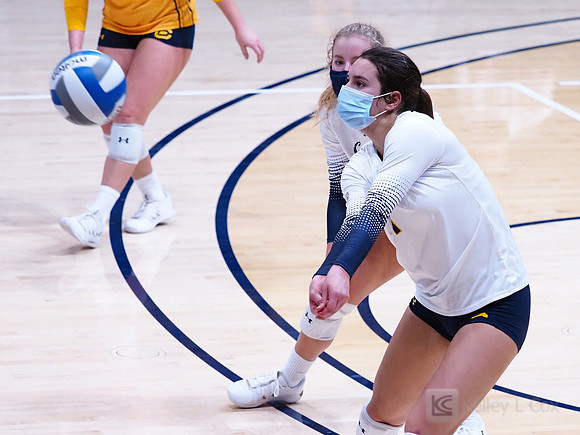 WomenÕs Volleyball: California Golden Bears vs Utah Utes