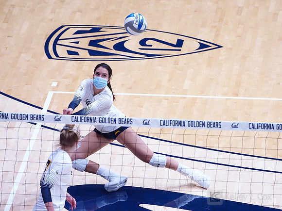 WomenÕs Volleyball: California Golden Bears vs Utah Utes