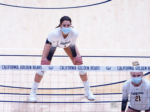 WomenÕs Volleyball: California Golden Bears vs Utah Utes