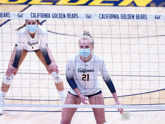 WomenÕs Volleyball: California Golden Bears vs Utah Utes