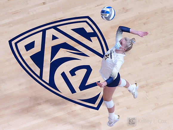 WomenÕs Volleyball: California Golden Bears vs Utah Utes