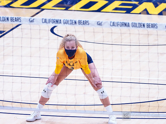 WomenÕs Volleyball: California Golden Bears vs Utah Utes