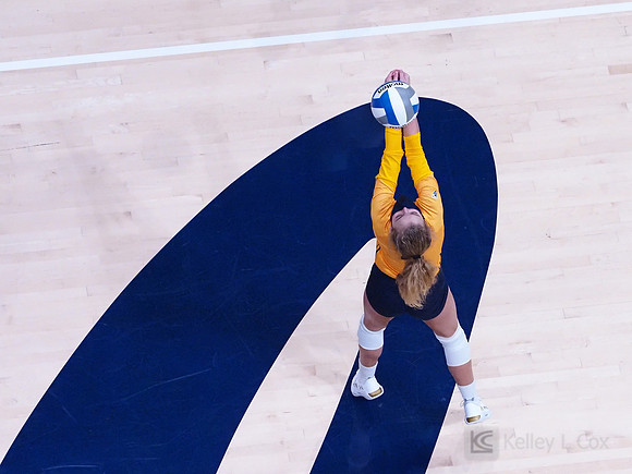WomenÕs Volleyball: California Golden Bears vs Utah Utes