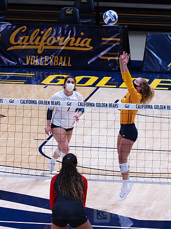WomenÕs Volleyball: California Golden Bears vs Utah Utes