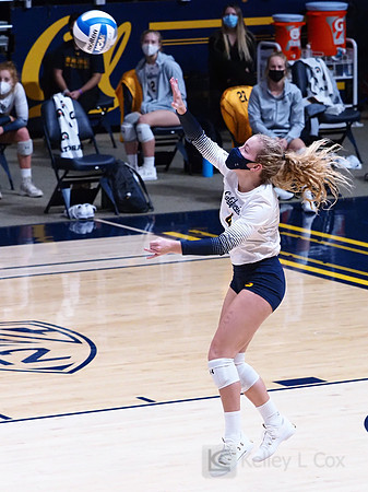 WomenÕs Volleyball: California Golden Bears vs Utah Utes