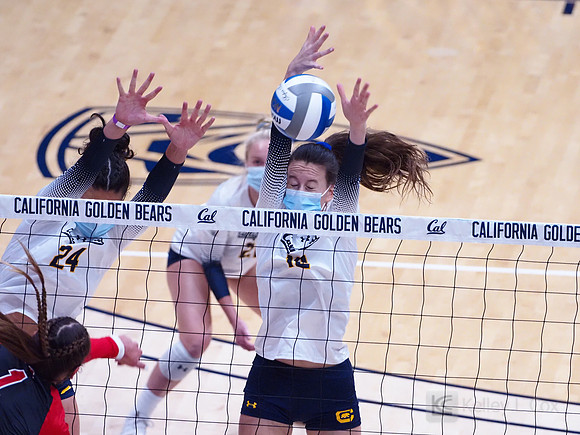 WomenÕs Volleyball: California Golden Bears vs Utah Utes