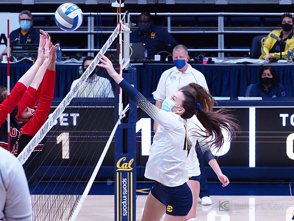 WomenÕs Volleyball: California Golden Bears vs Utah Utes