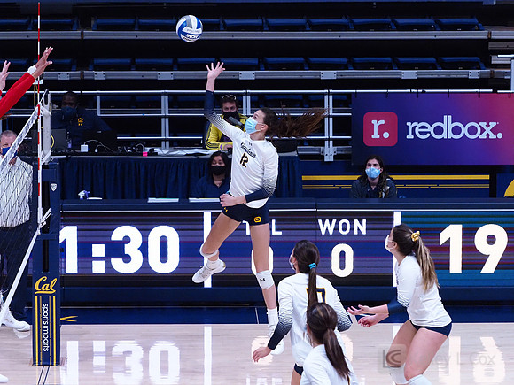 WomenÕs Volleyball: California Golden Bears vs Utah Utes