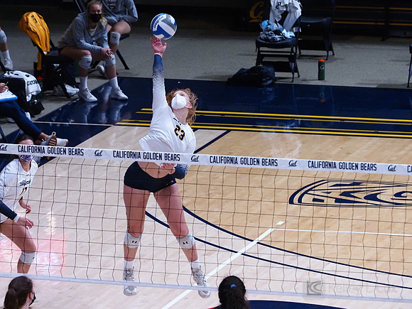 WomenÕs Volleyball: California Golden Bears vs Utah Utes