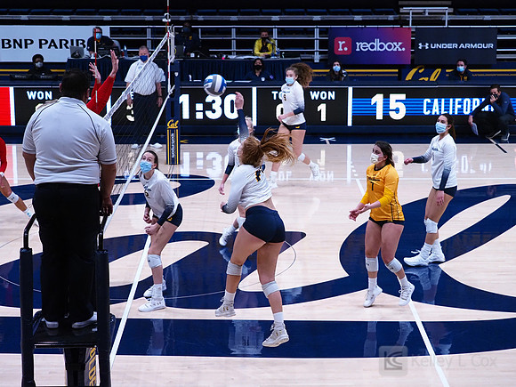 WomenÕs Volleyball: California Golden Bears vs Utah Utes