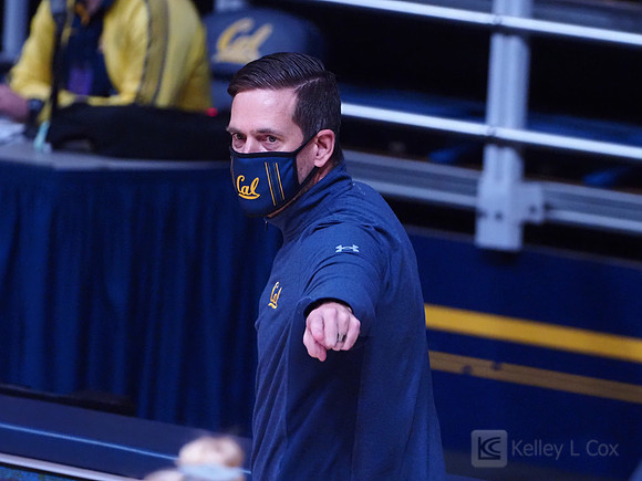 WomenÕs Volleyball: California Golden Bears vs Utah Utes
